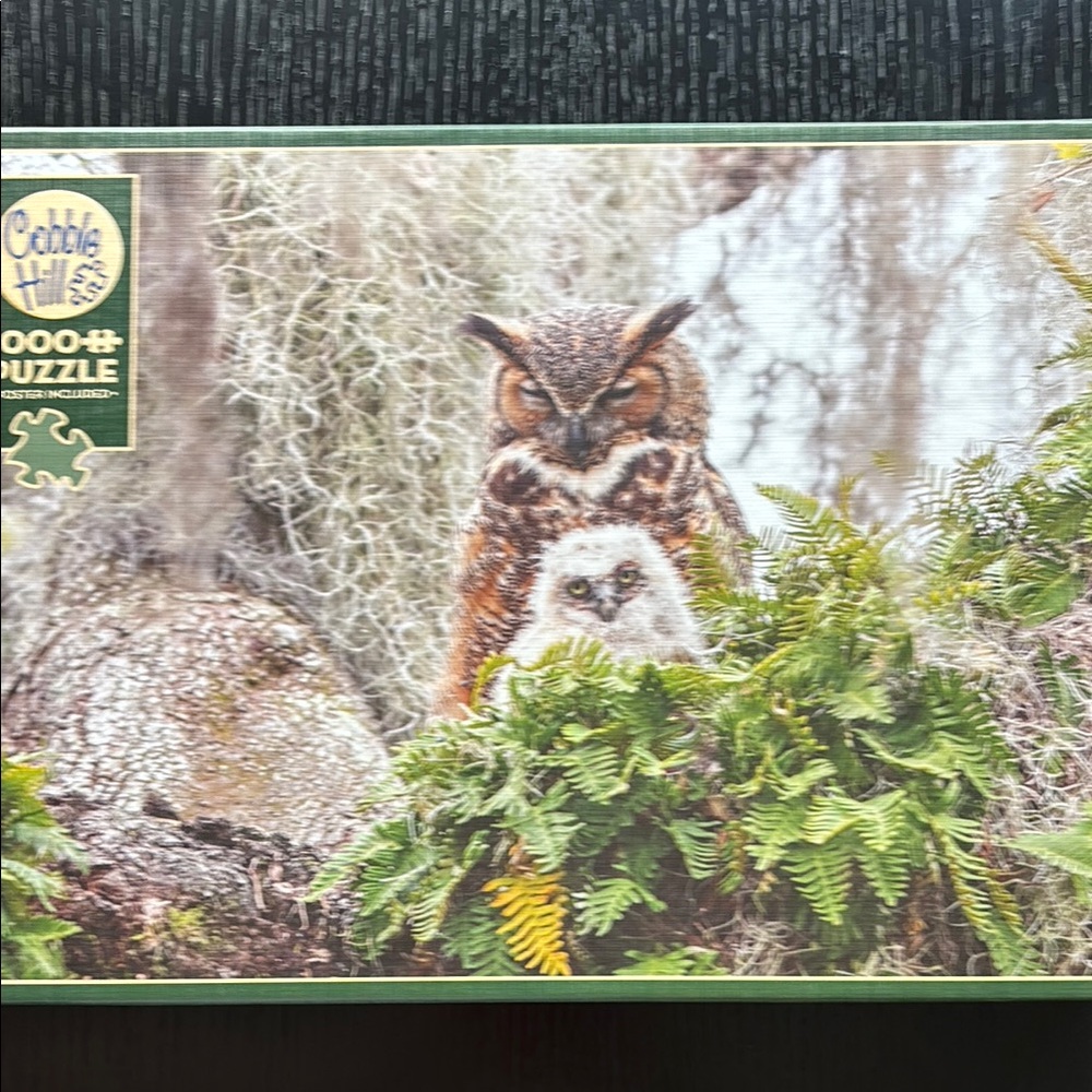 Cobble Hill 1000 piece puzzle